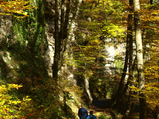 Müllertal